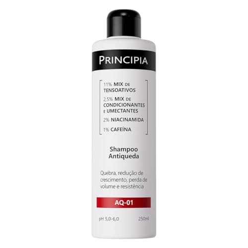 SHAMPOO ANTIQUEDA PRINCIPIA