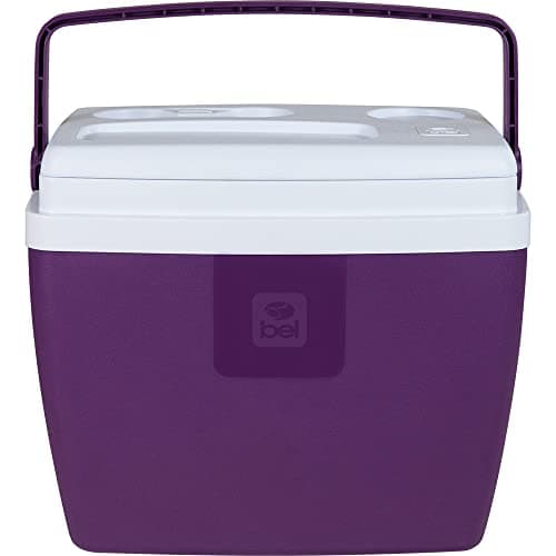 CAIXA TERMICA 36L BEL - ACAI
